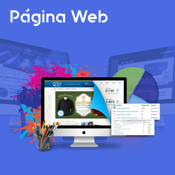 pagina web