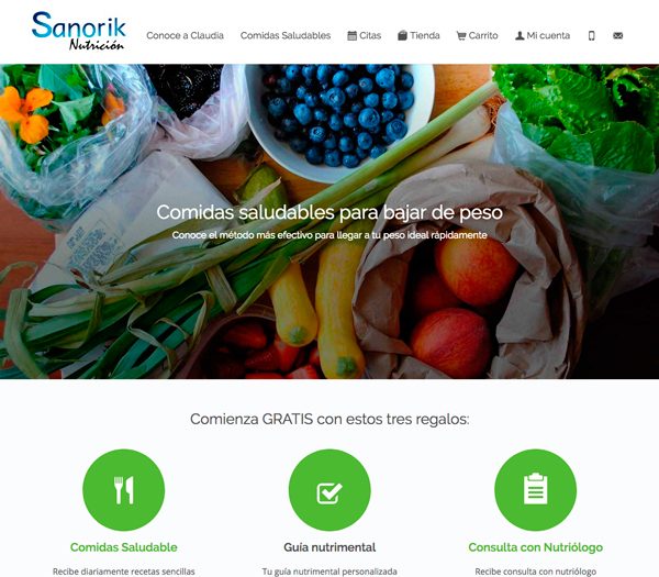 Ejemplo de Página Web Nutrición